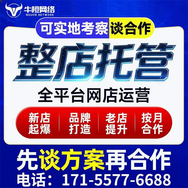 吉林电商代运营